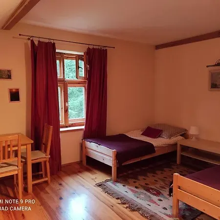 Komfortowy Dla Kilku Rodzin Holiday home Wolnica (Lidzbark)