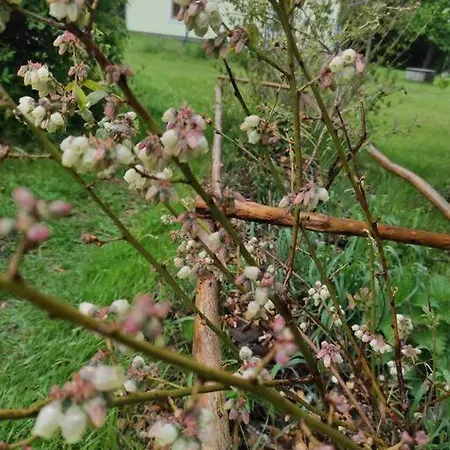 Komfortowy Dla Kilku Rodzin