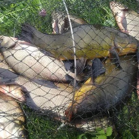 Komfortowy Dla Kilku Rodzin Holiday home