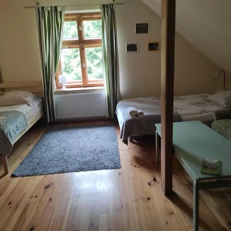 Komfortowy Dla Kilku Rodzin Holiday home Wolnica (Lidzbark)