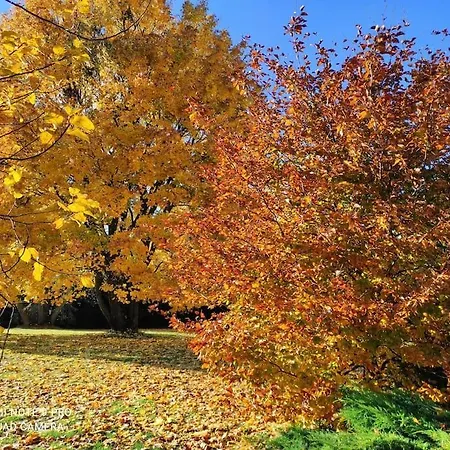 Komfortowy Dla Kilku Rodzin *