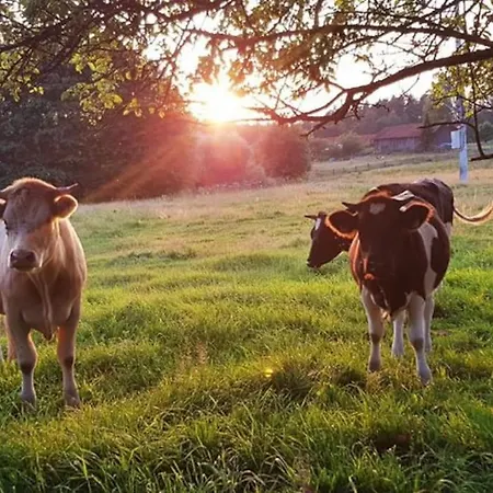 Komfortowy Dla Kilku Rodzin *