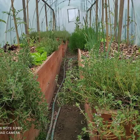 Komfortowy Dla Kilku Rodzin