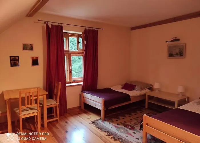 Komfortowy Dla Kilku Rodzin Dom wakacyjny Wolnica (Lidzbark)