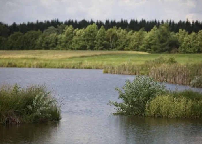 Komfortowy Dla Kilku Rodzin Dom wakacyjny *