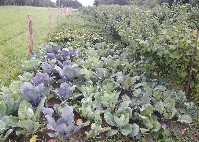 Komfortowy Dla Kilku Rodzin Dom wakacyjny *