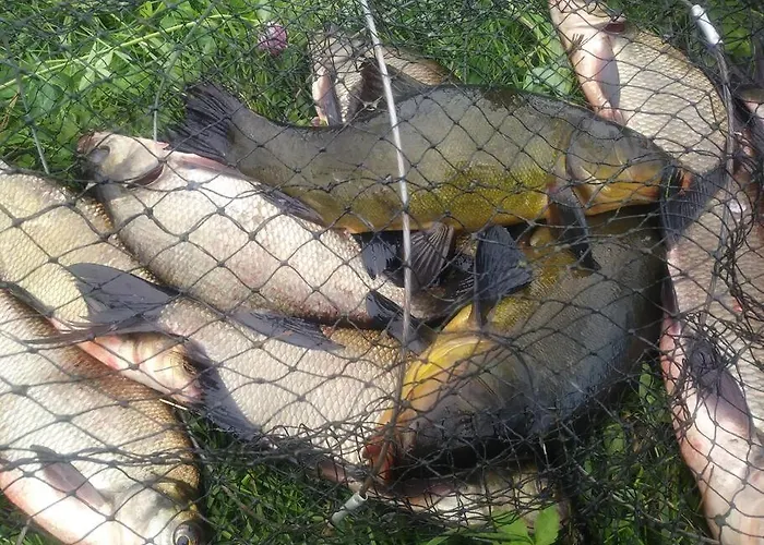 Komfortowy Dla Kilku Rodzin Dom wakacyjny