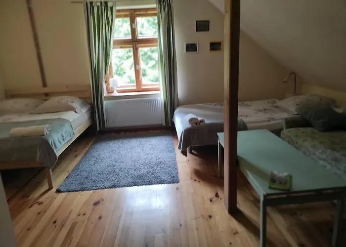 Komfortowy Dla Kilku Rodzin Dom wakacyjny Wolnica (Lidzbark)