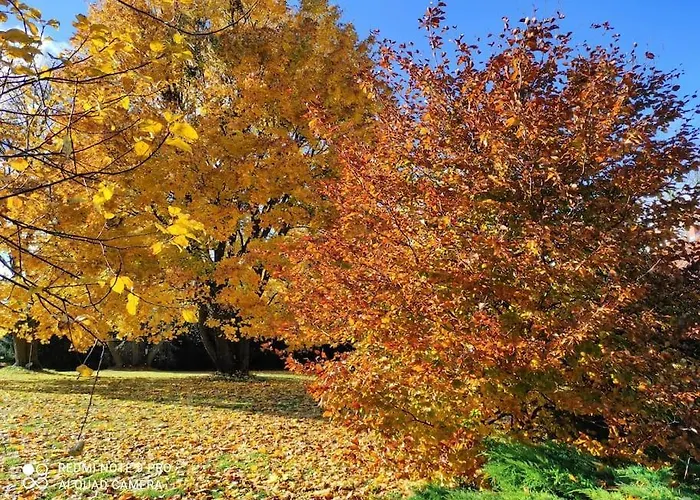 Komfortowy Dla Kilku Rodzin *