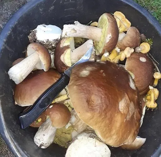 Komfortowy Dla Kilku Rodzin Dom wakacyjny Wolnica (Lidzbark)