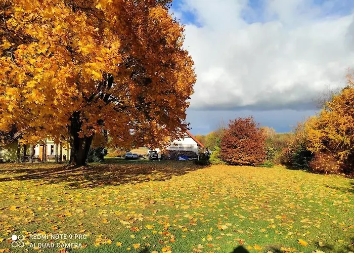 Dom wakacyjny Komfortowy Dla Kilku Rodzin